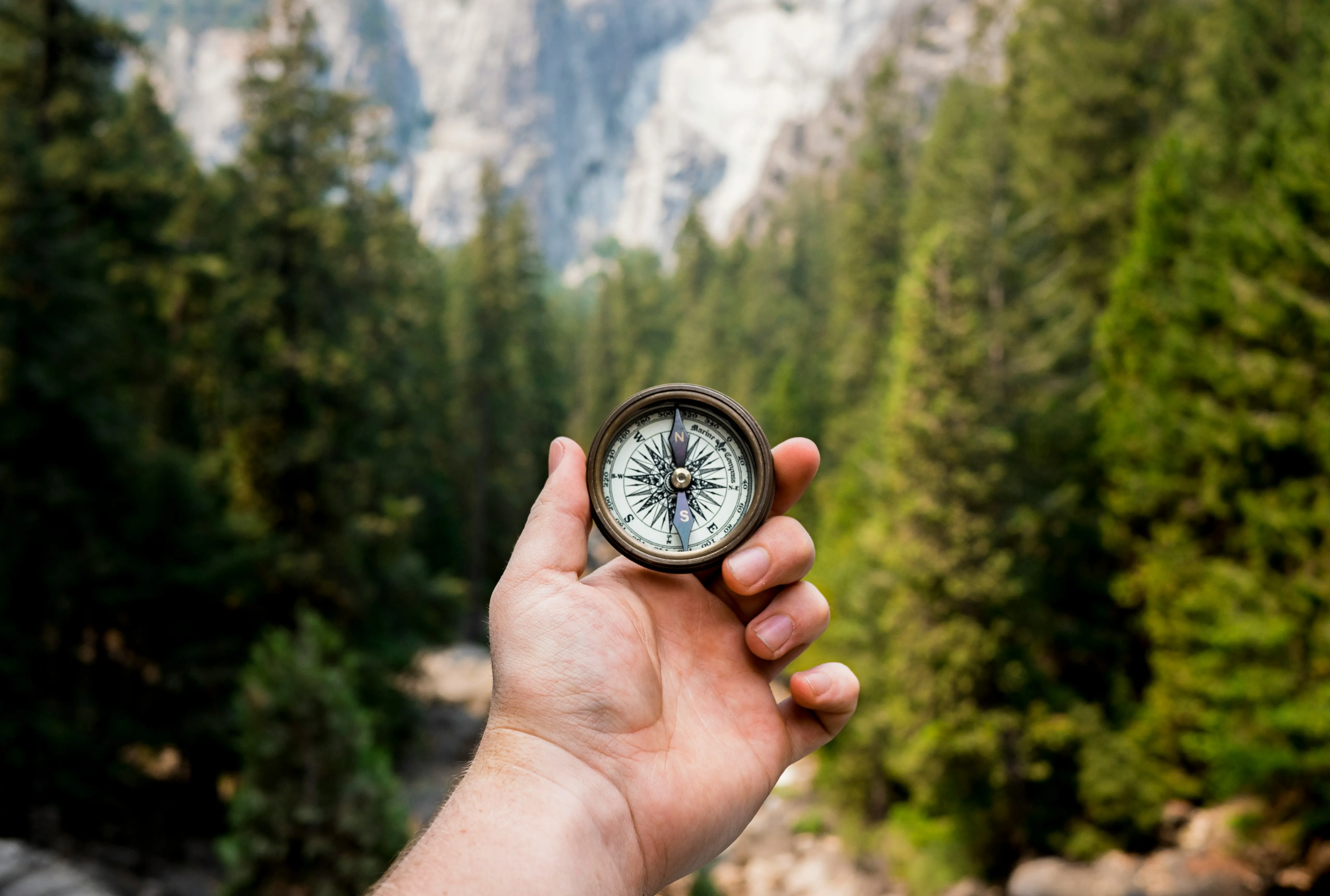What to Look For in a Vendor